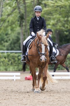 Bild 206 - Pony Akademie Turnier